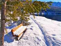 Winter Lakeside Bench