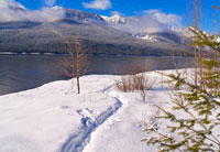 Winter Lakeside Scene